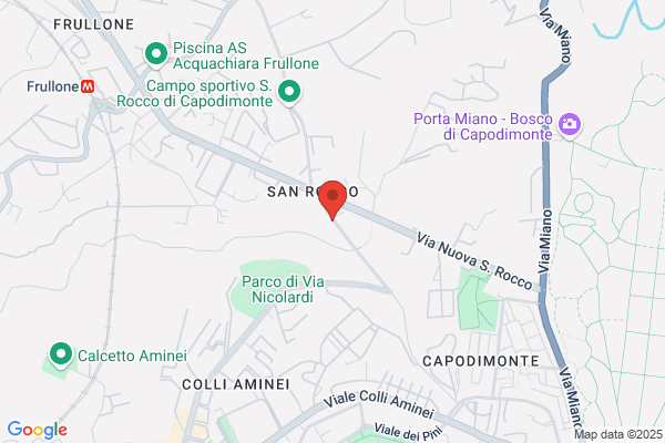 Italian Security Protection Agency Investigation