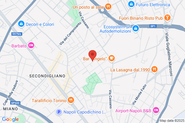 Amicaemergenza.It S.r.l. - Servizio Ambulanze Napoli