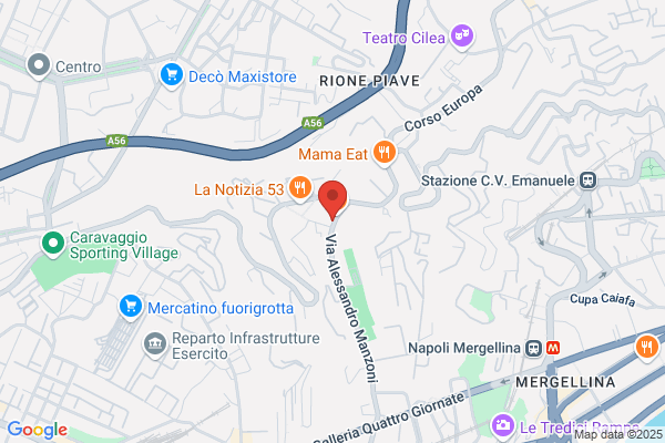 Ospedale Veterinario Manzoni