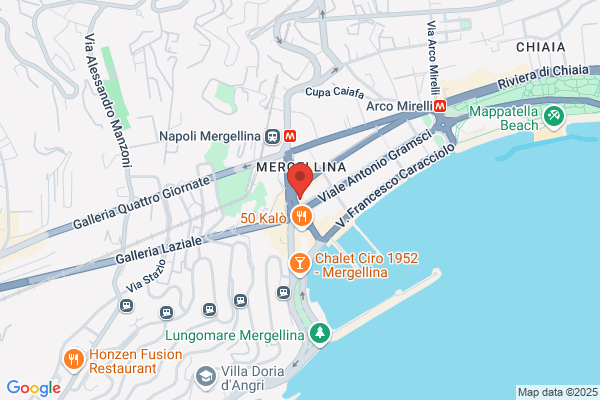 Spatola bruno (Arch.)