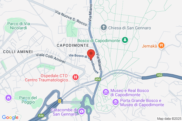 Scuole Pubbliche/Scuole Medie/Novaro