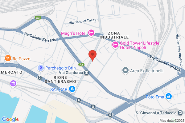 Organizzazione Napoli Est Srl