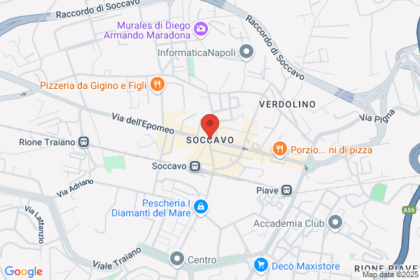 Spagnuolo domenico