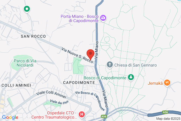 Nuova Varrialew Srl