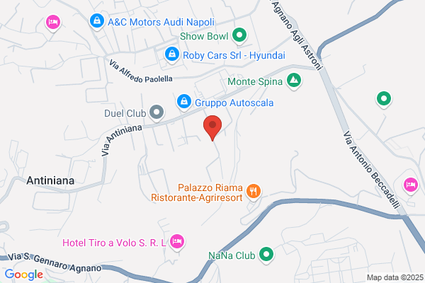 Palestra Paradise Center