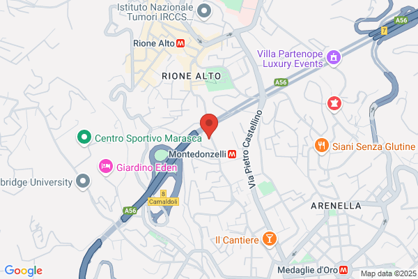 Suore Francescane Missionarie