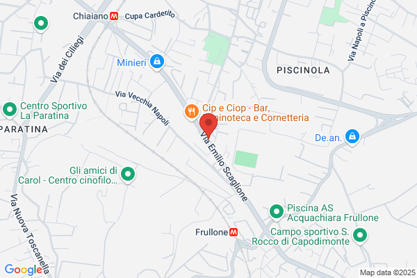 Global Service Srl