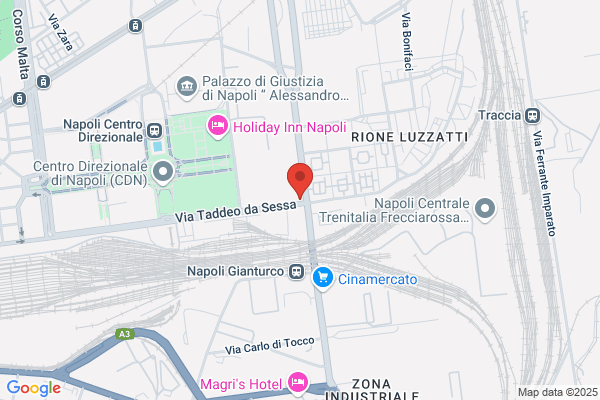 Lombardi immacolata (Dr.)
