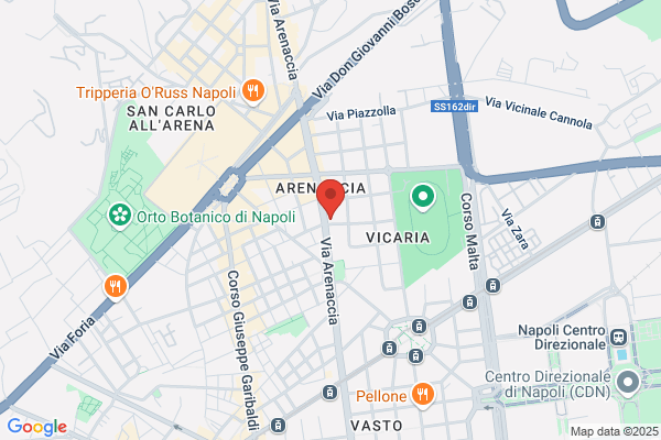 Messina cuono (Dr.)