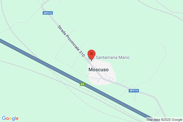 Santamaria mario (Rag.)