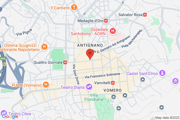Monarca antonio