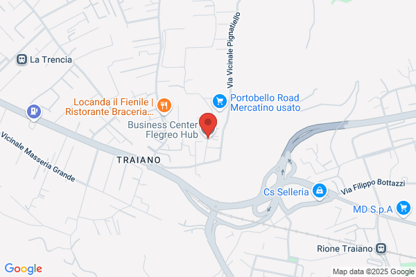Istituto Flegreo Di Stenodattilografia