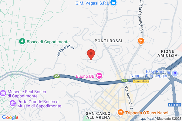 Liguori Srl