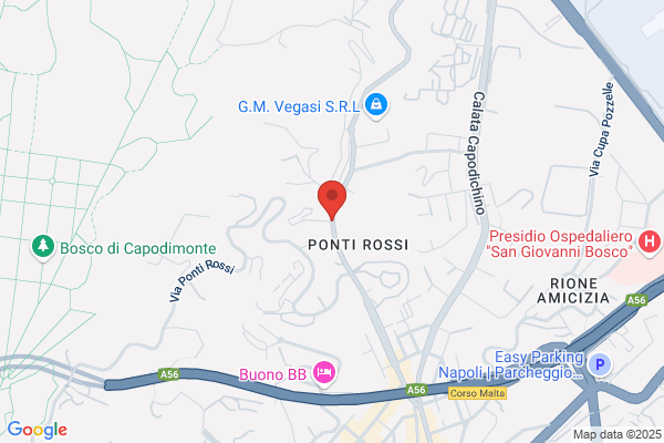 Fiori, Pensieri e Natale