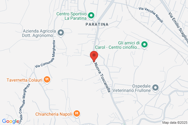 Napoletano Caseificio e Gastronomia