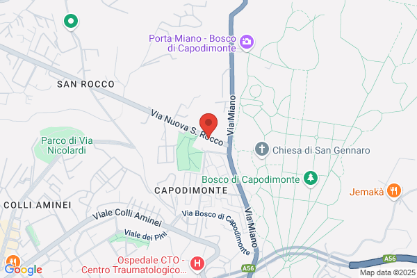 Saccarino bruno