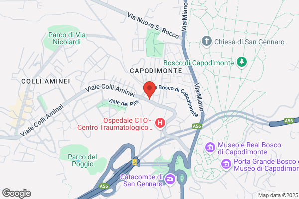 Accademia L'Arte del Movimento