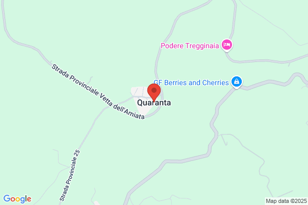 Quaranta cinzia