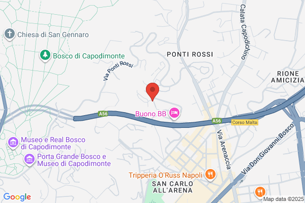 Le Specialita Sas Di Evangelista Gennaro