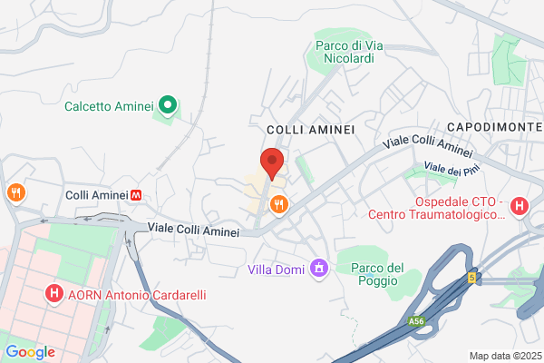 Pisani carmine