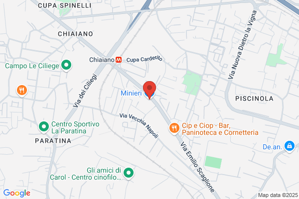 Minieri Srl