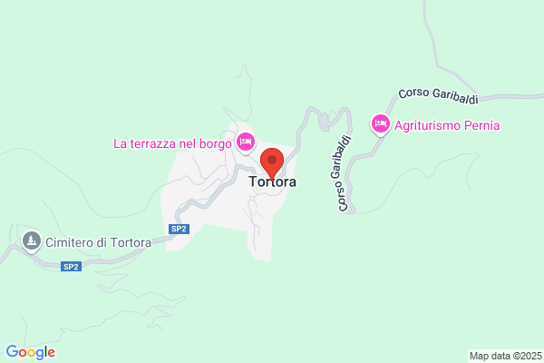 Tortora maria