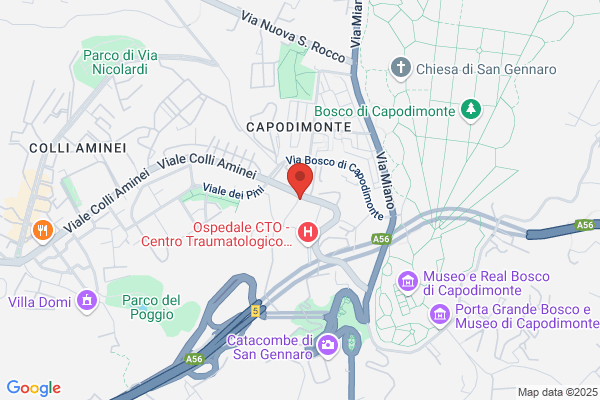 Iniziative Parcheggiatori Meridionali Srl