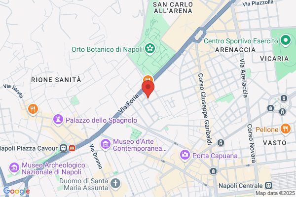 Lepre pino
