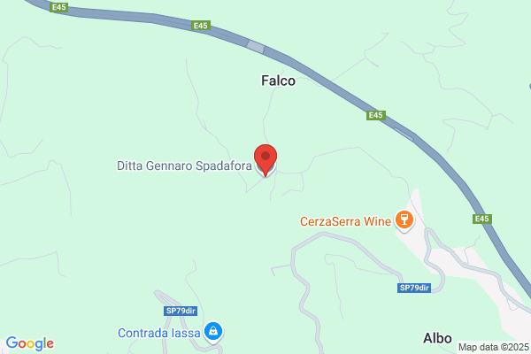 Spadafora gennaro