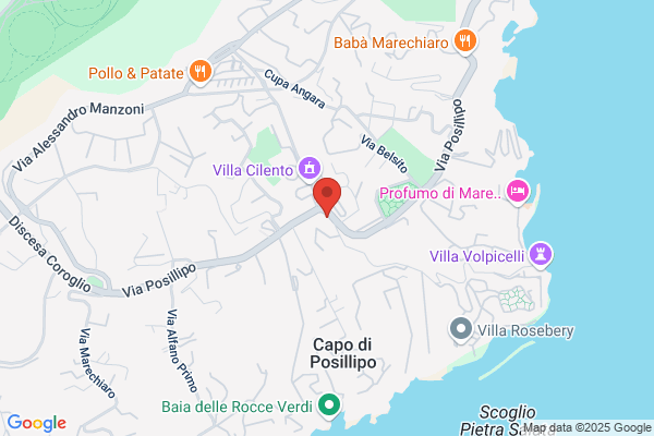 Cotugno Service