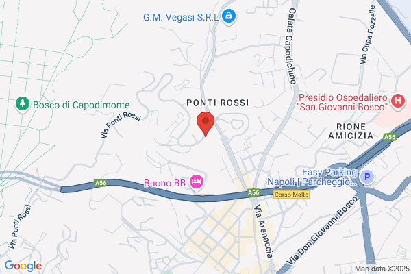 Tortora Industria Alimentare Dolciaria E Surgelati S.R.L.