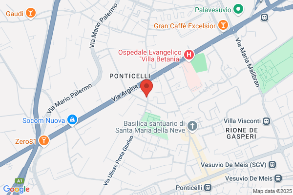 Petrania carmela