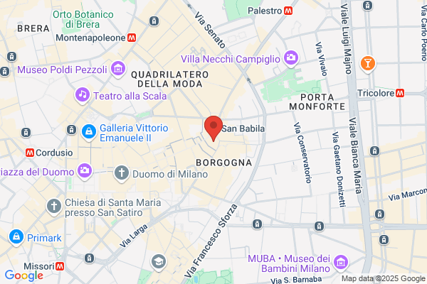 Zappia cristina (Rag.)