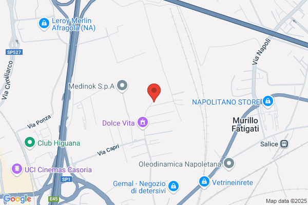Vi.Dal.Ma. Di Mezzacapo A.E C. S.A.s.