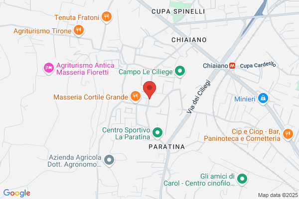 Napoletana Metano Snc