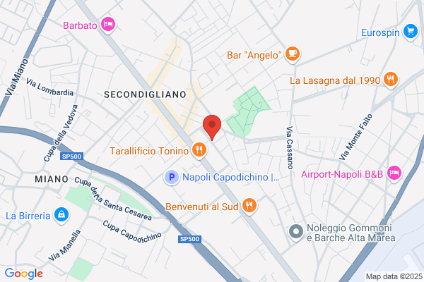 S.P.I Sindacato Pensionati Cgil