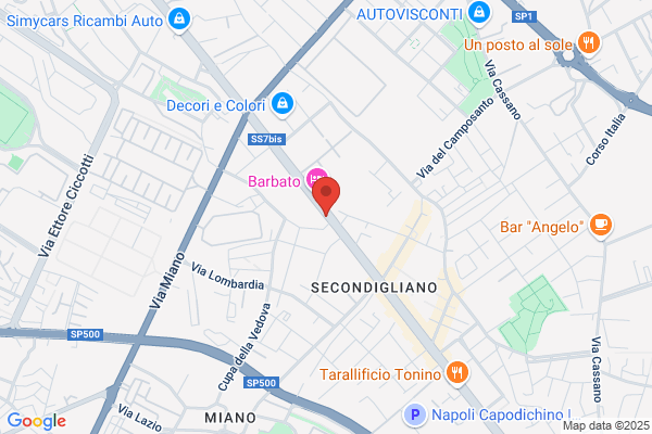 Sistemi Servizi Srl
