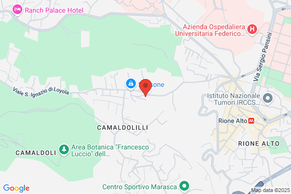 Sansone immacolata