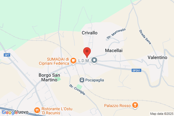 Morra gabriella