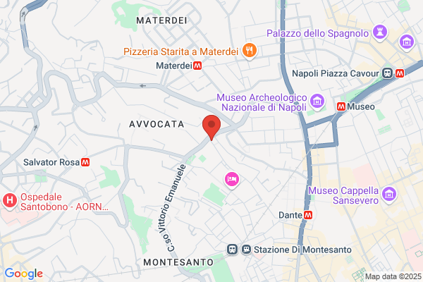 Pariota armando