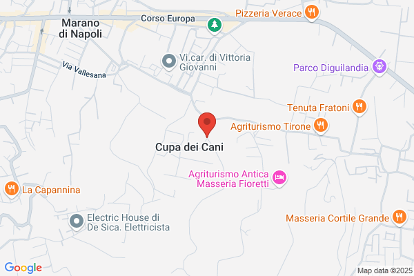 Tipografia Europa Di Polese