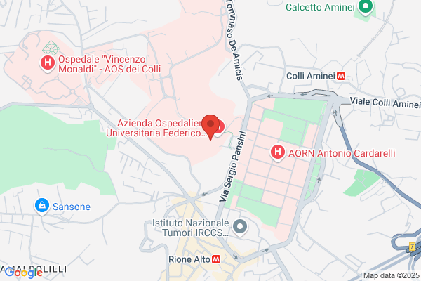 Bernasconi Di Ugo Ricciulli,