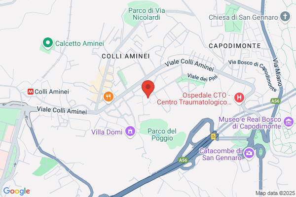 Centro Studi Giovanni Verga S.R.L.