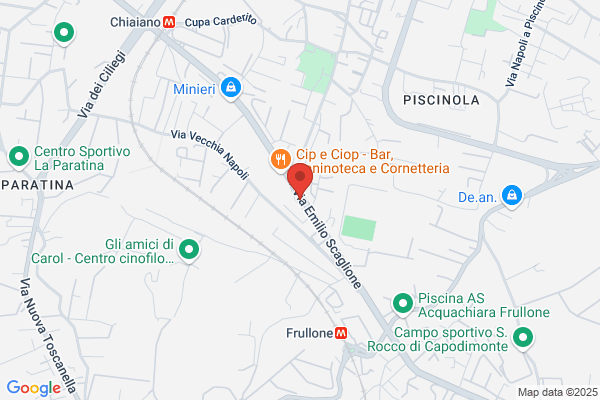 Centro Emergenze Veterinarie C.E.V.