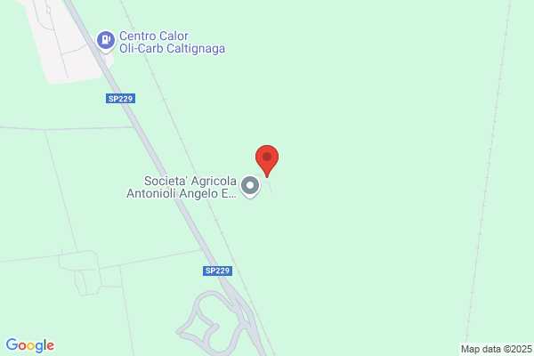 Sacco Massimo Antonio E Angelo S.S.