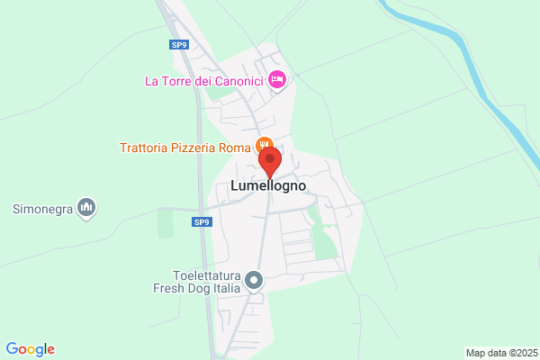 Nuvolone graziella