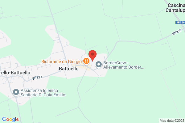 Emme Tre Costruzioni Srl
