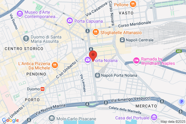 Napoli adelina