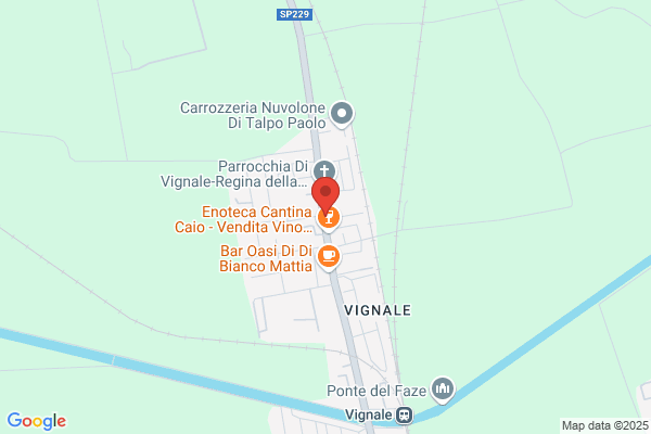 Mosca cristina