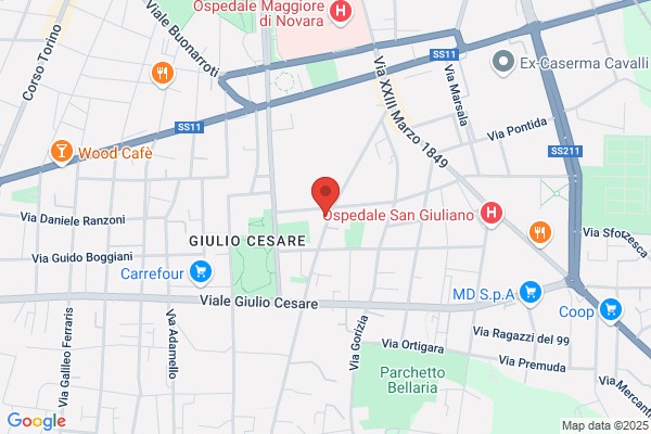 Meli nino (Geom.)